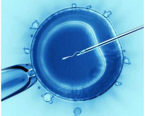 珠海代孕包成功,珠海妇幼生殖中心能申请供卵试管吗？