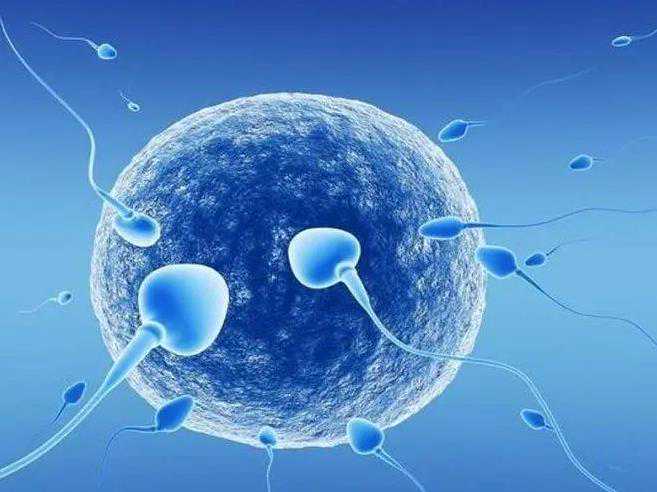 佛山代怀包生儿子,佛山精子染色体有问题能做三代试管婴儿吗，精子染色体有