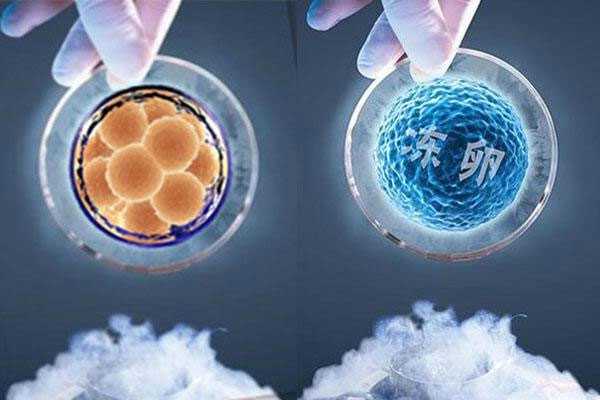 惠州可以代生么,惠州试管婴儿胚胎移植鲜胚和冻胚哪个好？