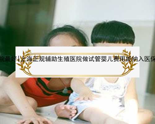 佛山代孕哪个医院最好|上海正规辅助生殖医院做试管婴儿费用能纳入医保报销